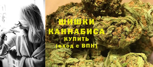 мдпв Вяземский