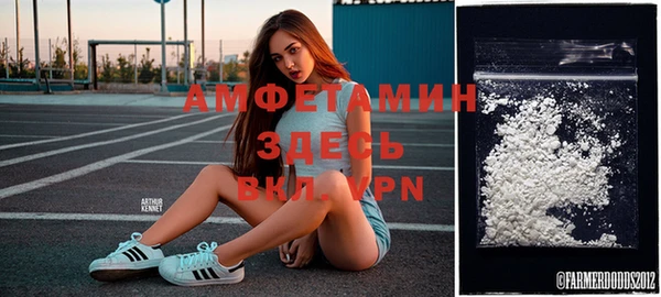 гидра Верея