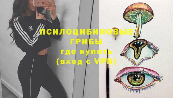 гидра Верея