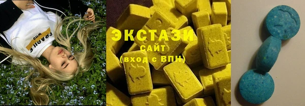 мдпв Вяземский