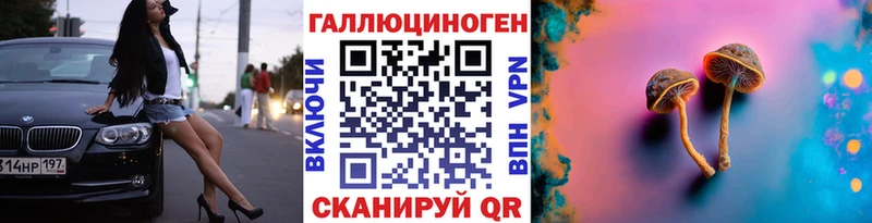 Псилоцибиновые грибы Psilocybine cubensis Заволжье