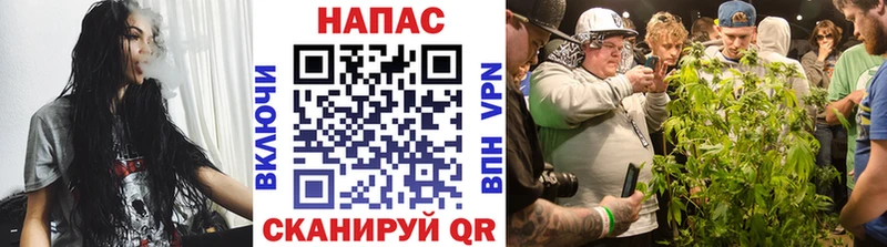наркошоп  Заволжье  Шишки марихуана сатива 